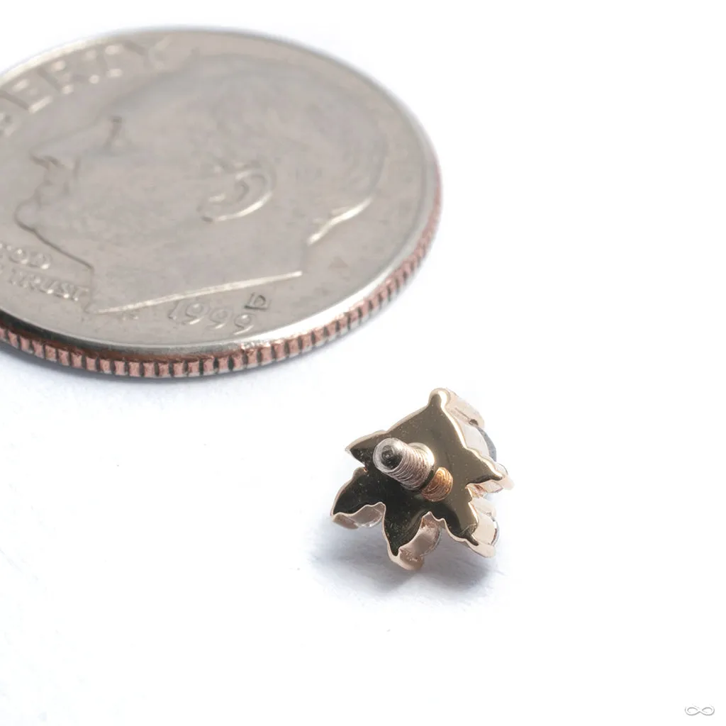Anaya Threaded End in Gold from BVLA