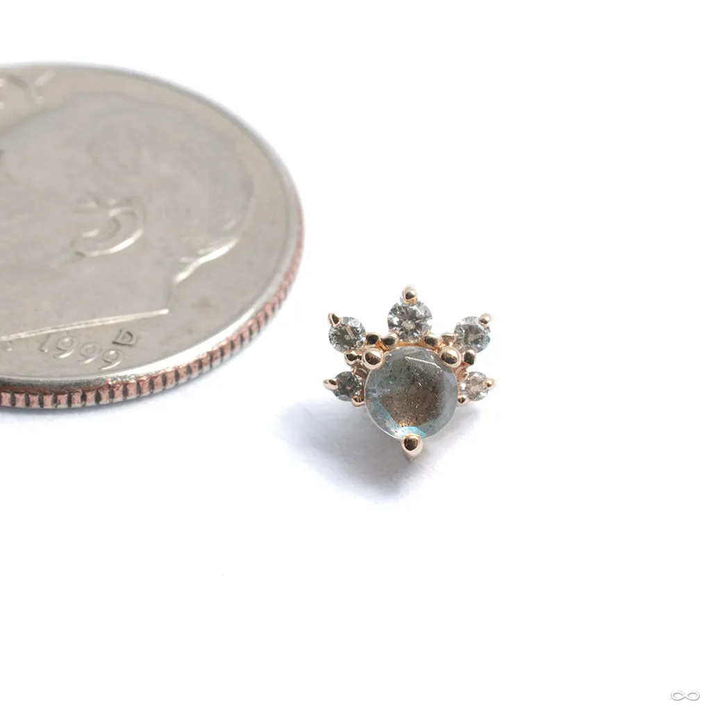 Anaya Threaded End in Gold from BVLA