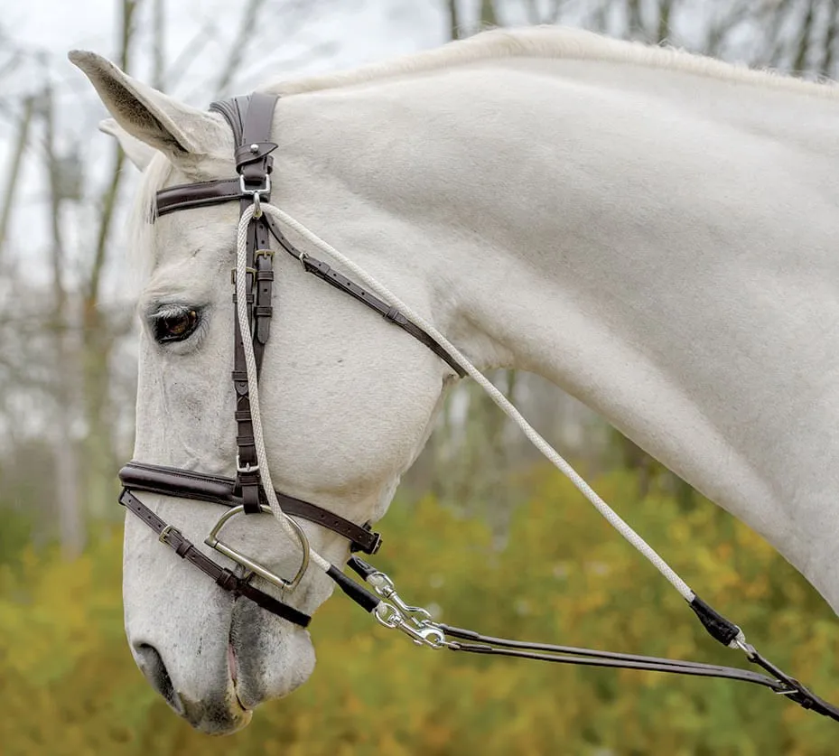 Avignon De Gogue Training Aid