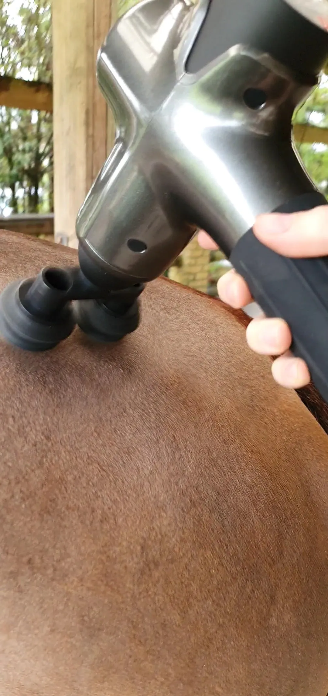 ETS Maximus horse massage gun