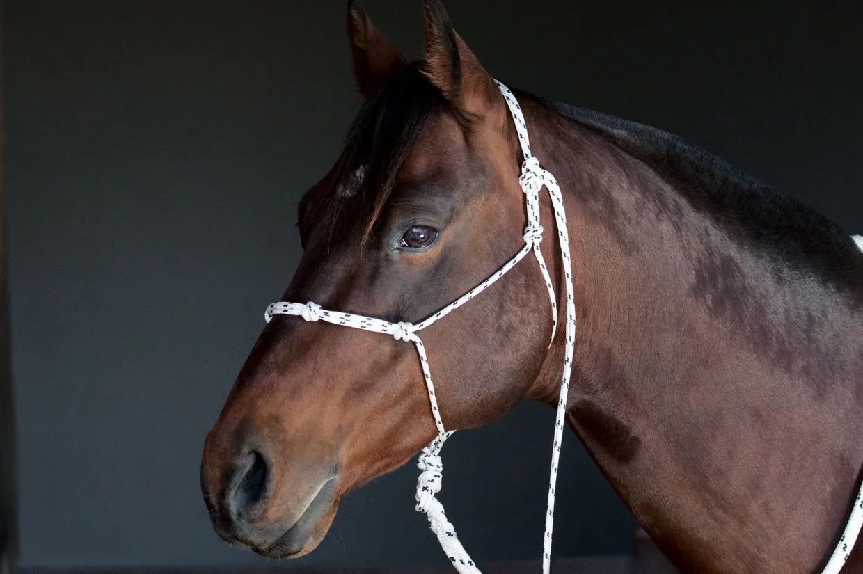 Handling Halter