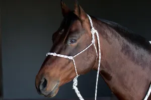 Handling Halter