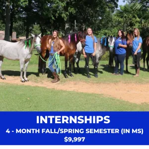 Internships: 4-Month Fall/Spring Semester (In MS)