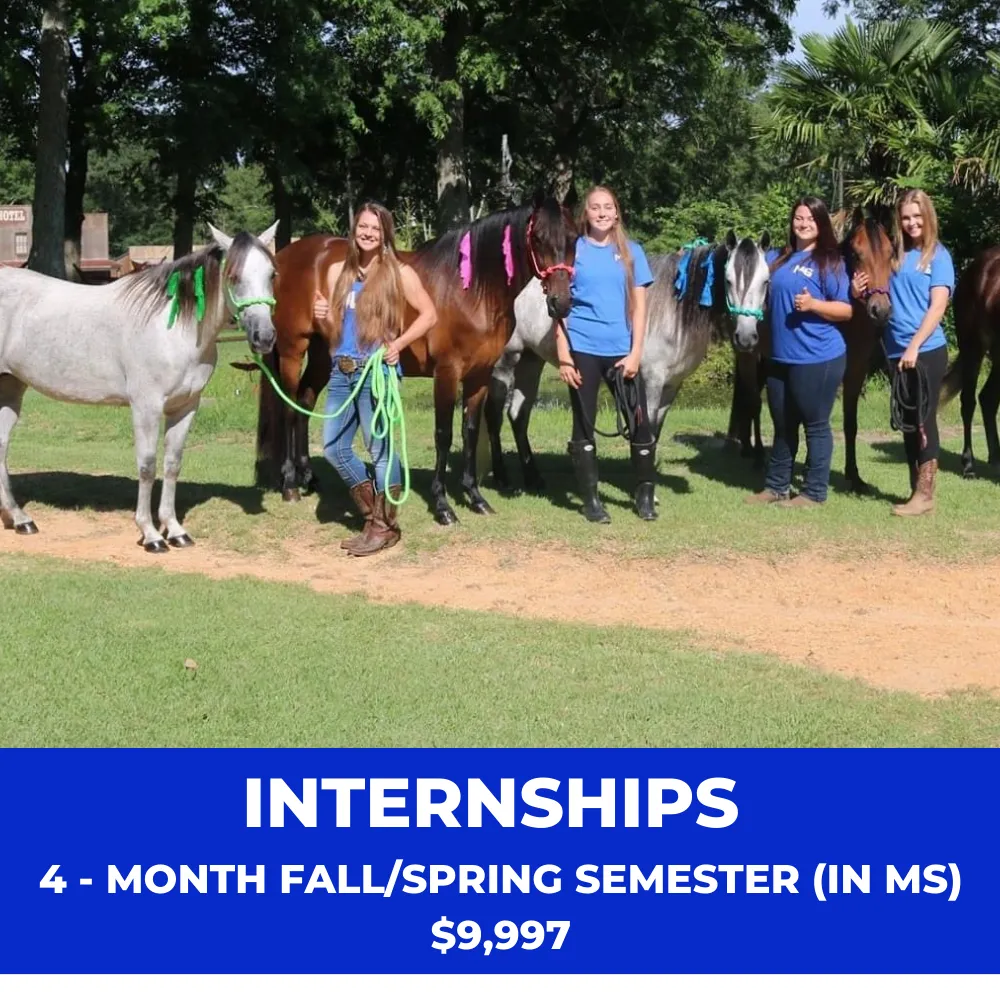 Internships: 4-Month Fall/Spring Semester (In MS)