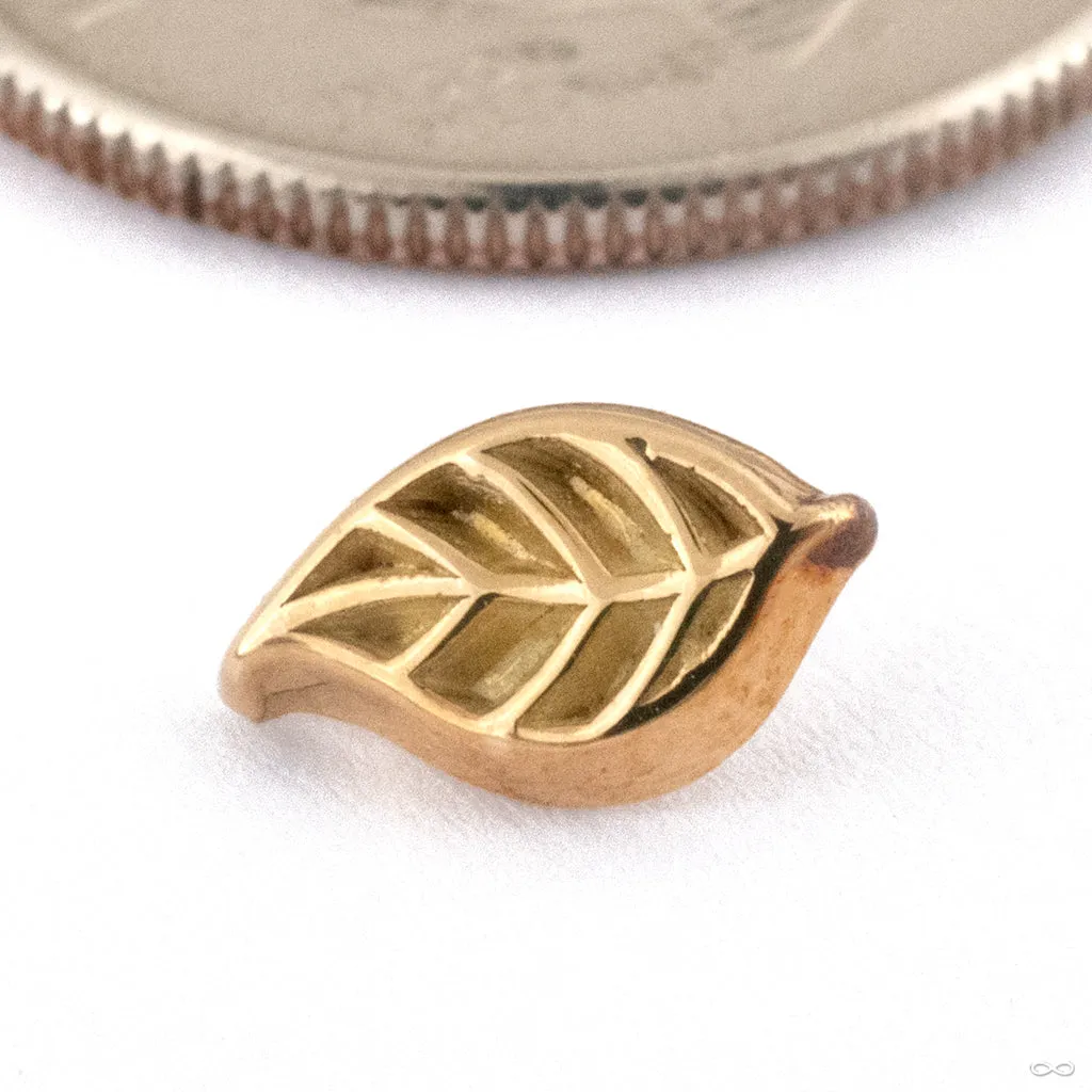 Leaf Threaded End in Gold from Kiwii Jewelry