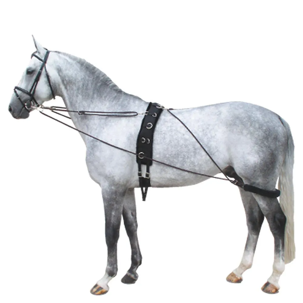 Lunging Training Aid