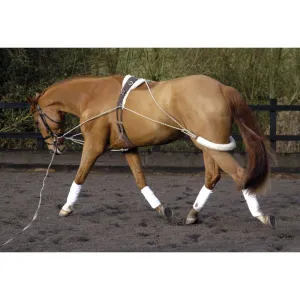 Lunging Training Aid