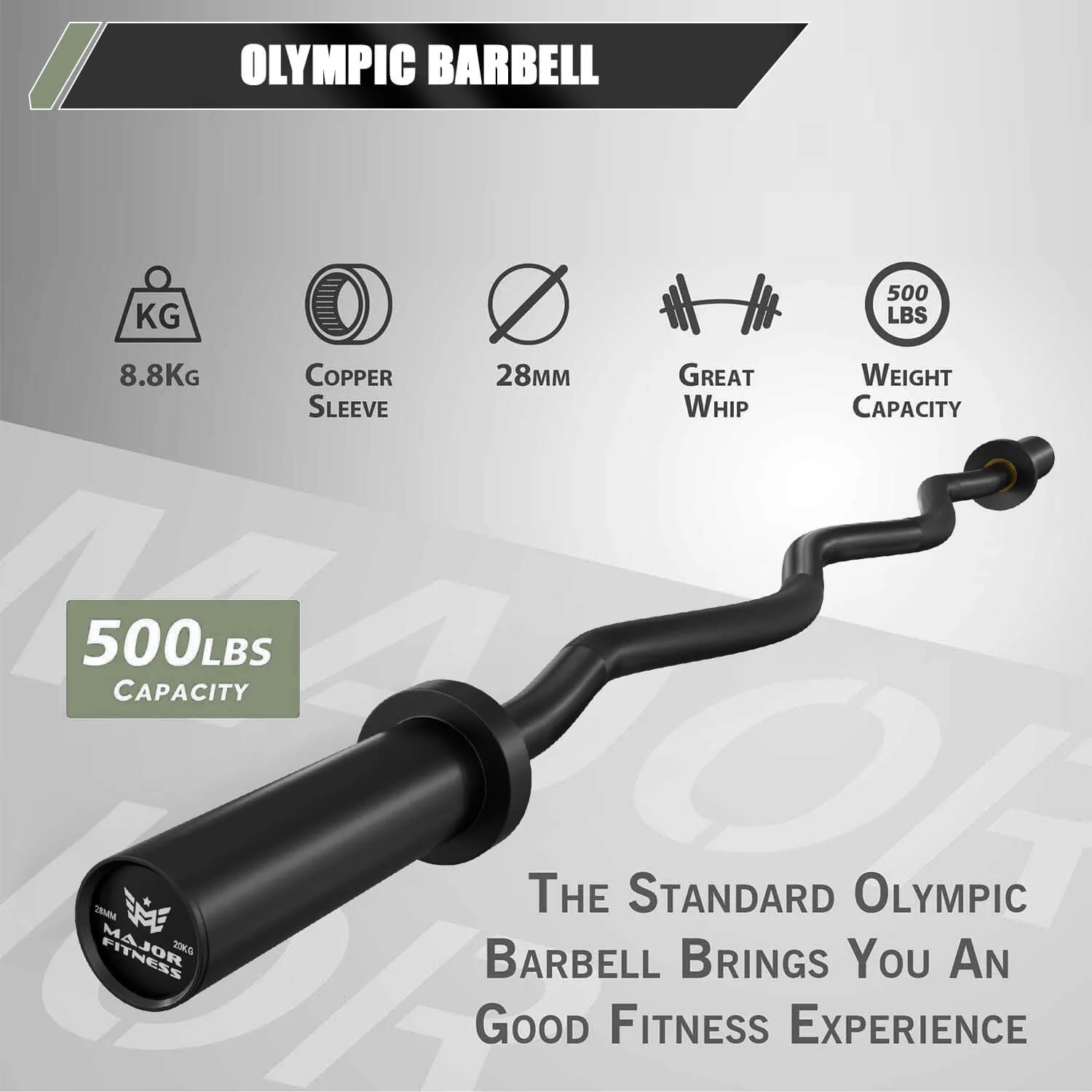 MAJOR FITNESS 4ft Olympic EZ Curl Barbell