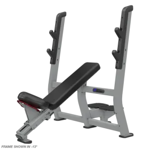 Nautilus Incline Bench Press