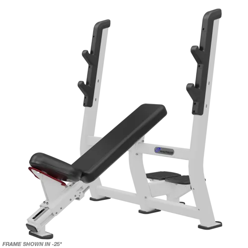 Nautilus Incline Bench Press