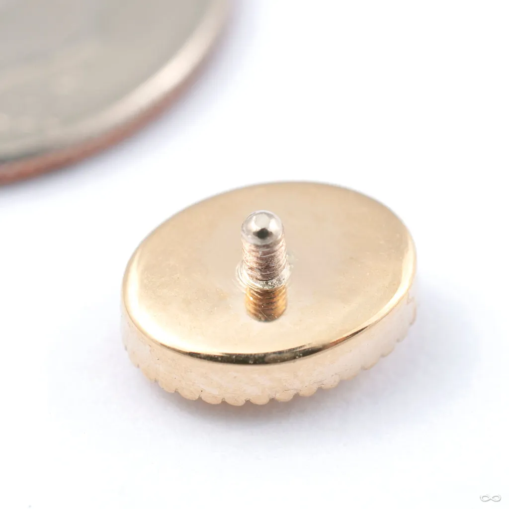 Oval Millgrain Threaded End in Gold from BVLA