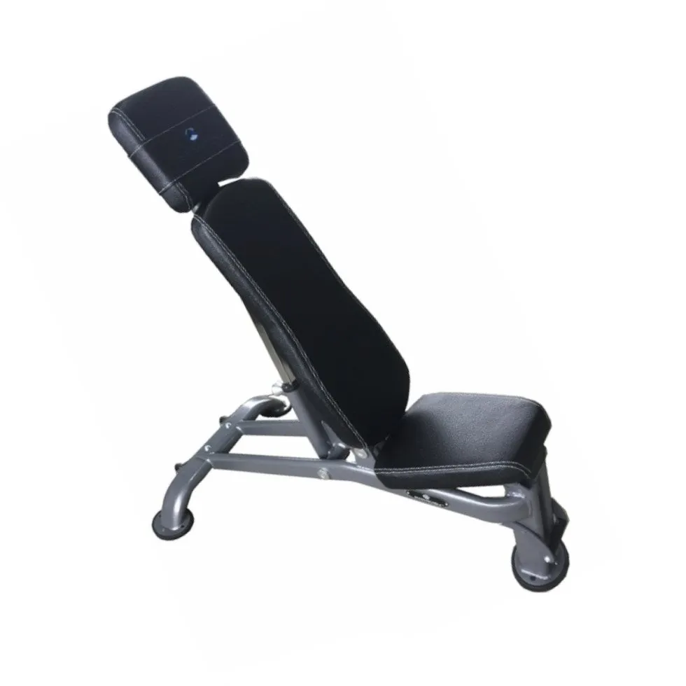 Paradigm Fitness F.I. Auto-Bench