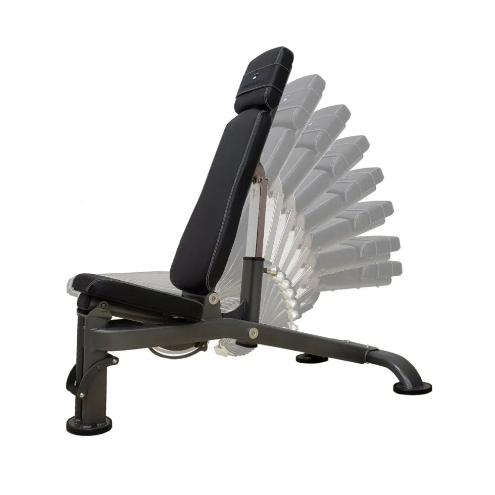 Paradigm Fitness F.I. Auto-Bench