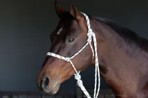 Rope Halter