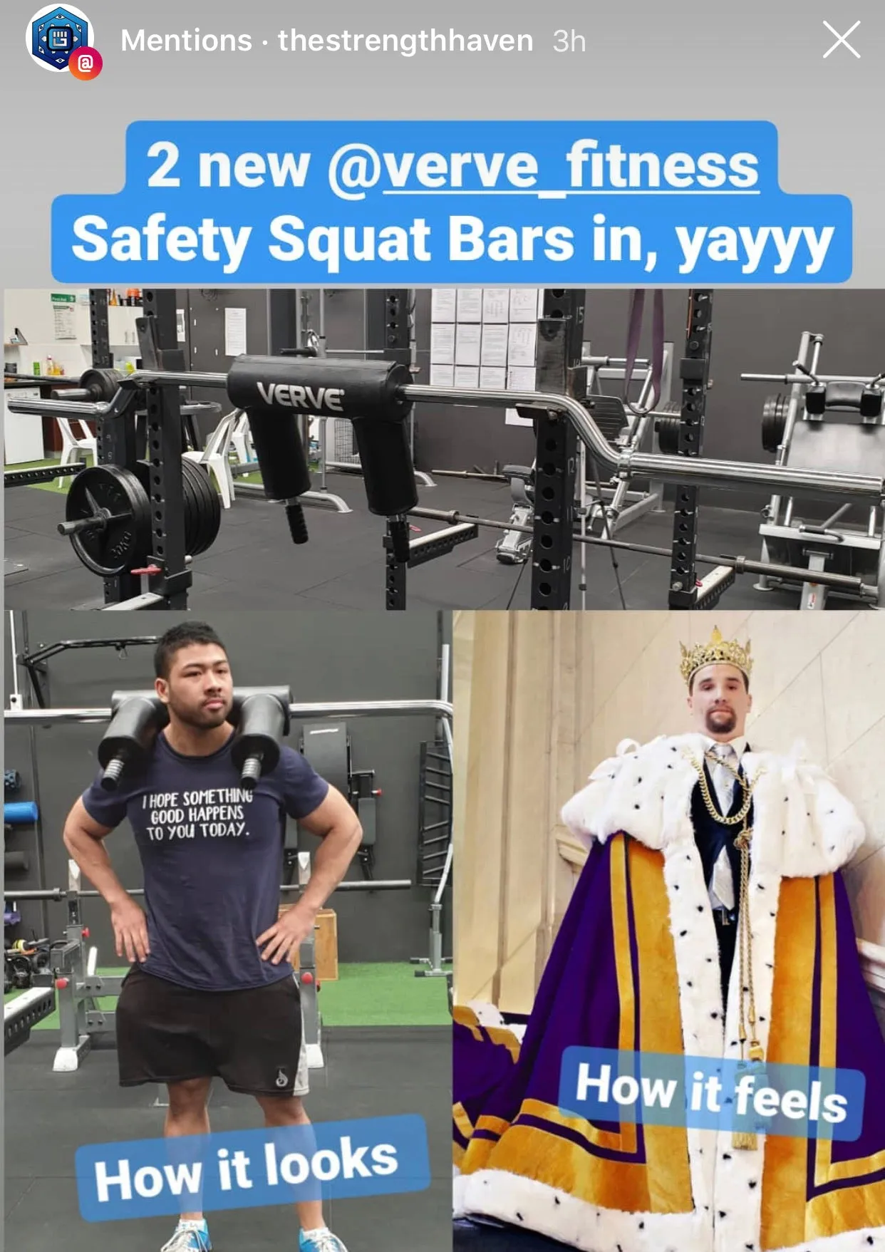 VERVE Elite Safety Squat Bar